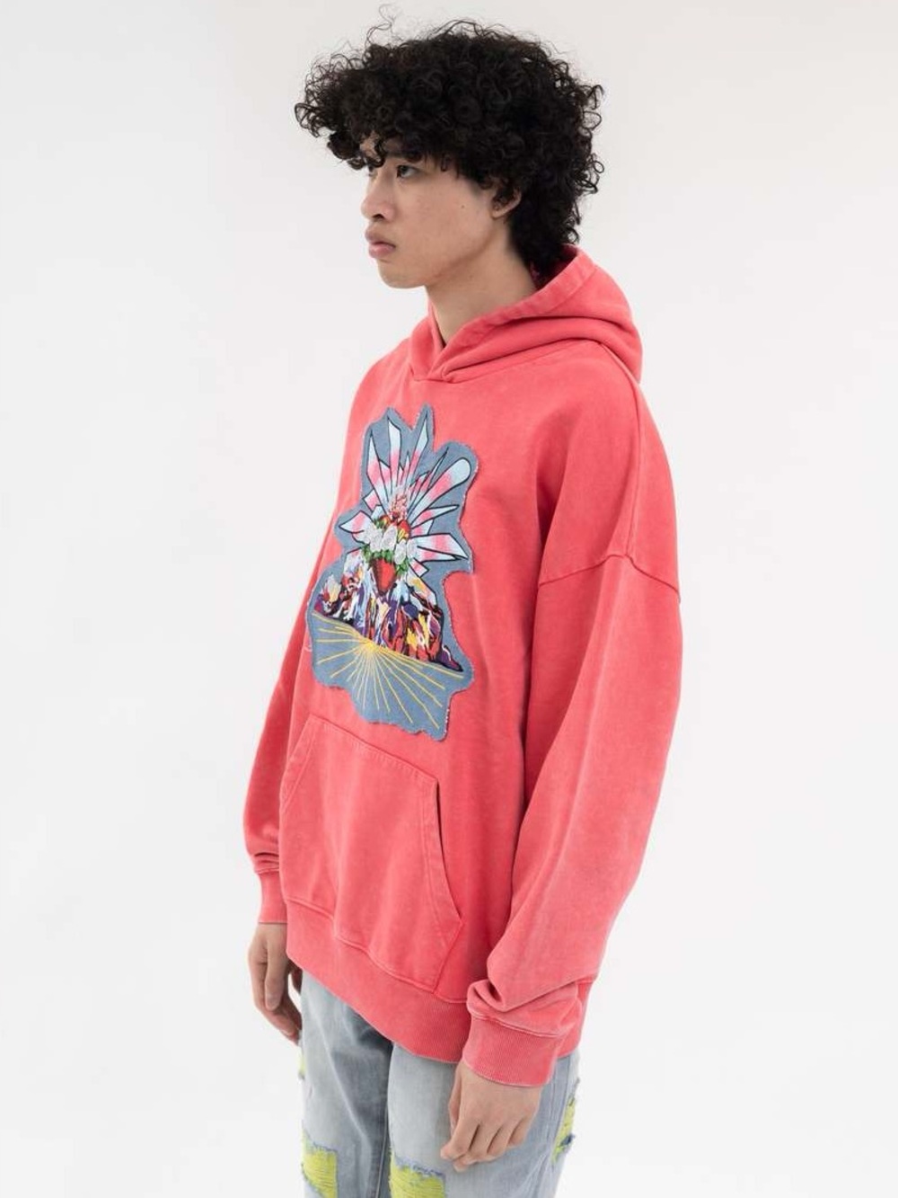 NWT RICHGAINER Patchwork Hoodie - Picture 8 of 16